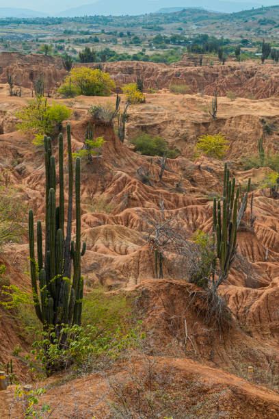 Huila al Límite